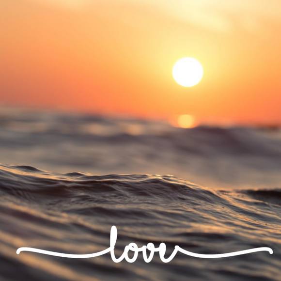 Meet your Posher, Jj - Picture 1 of 1